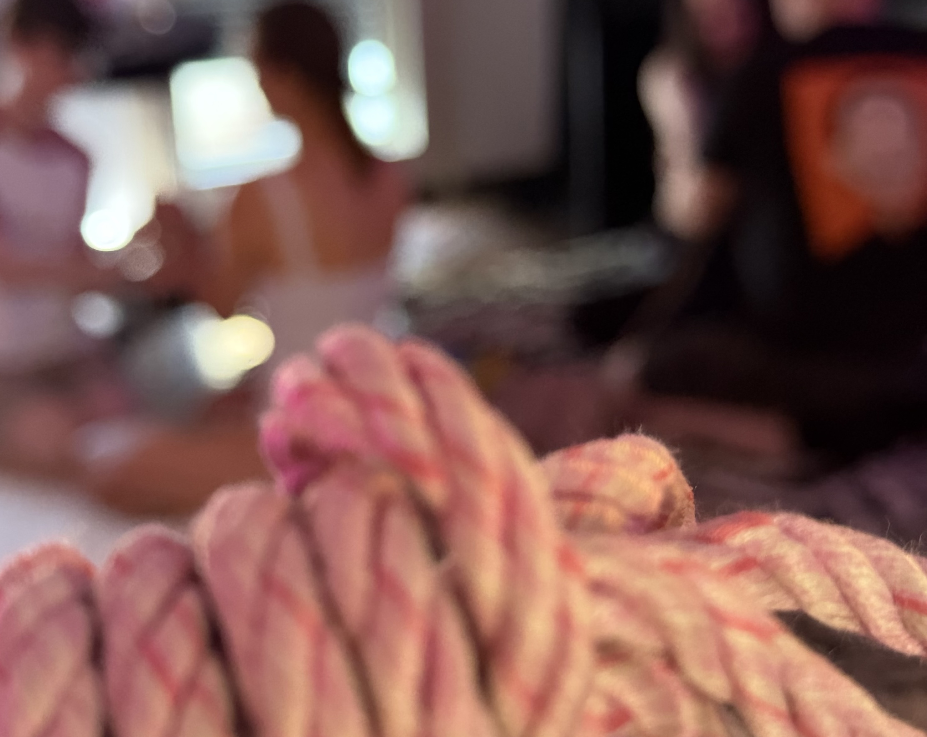 Shibari Workshop Belgrade - Newbie Day