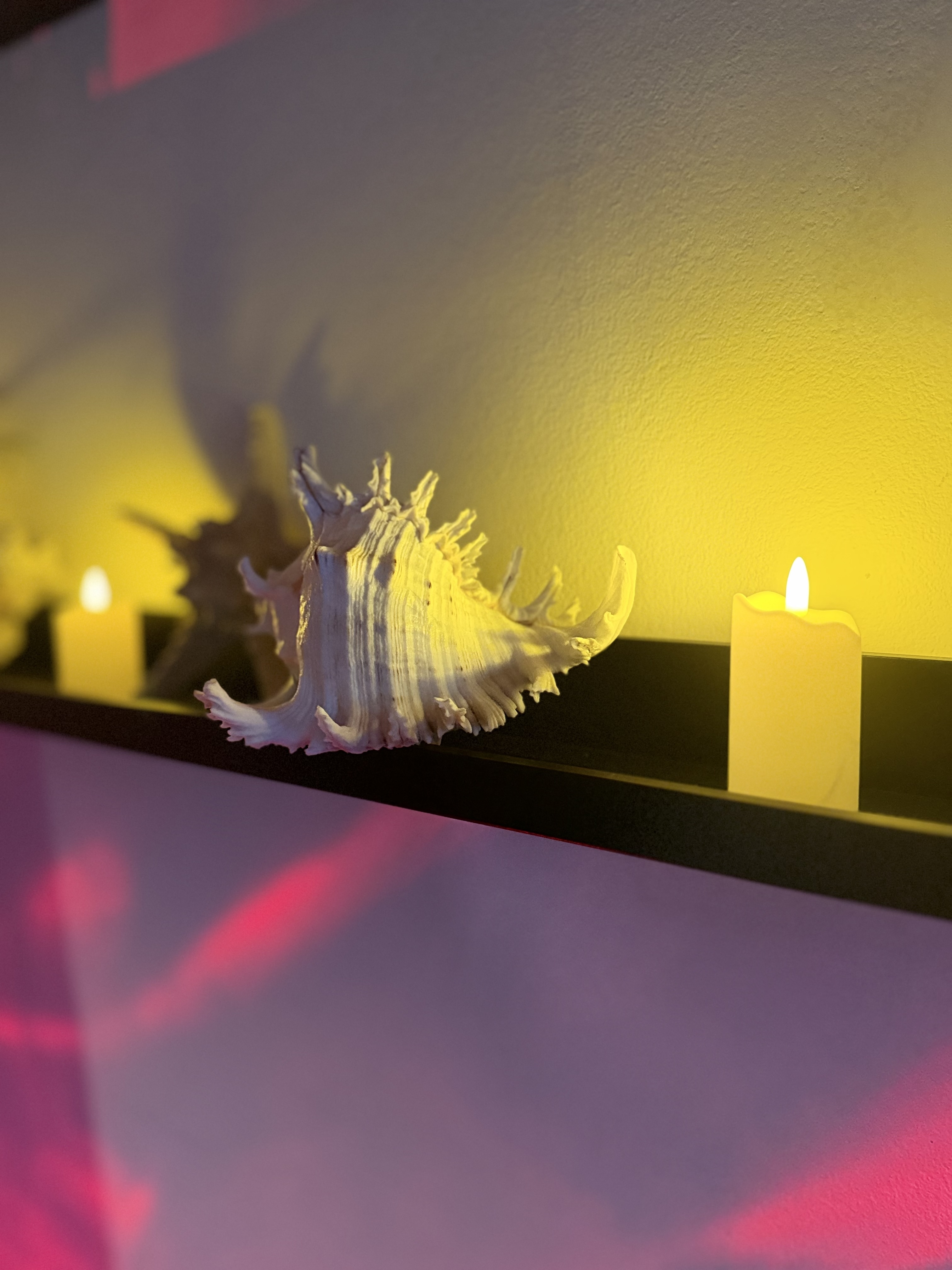Shibari Workshop Belgrade - Waxplay Workshop