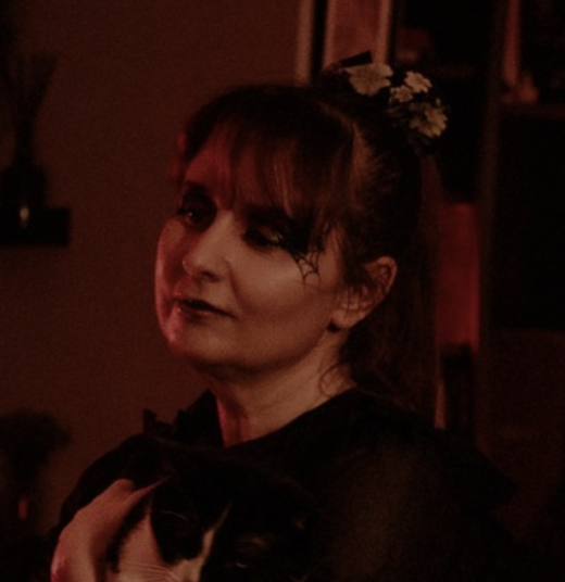 Vlada